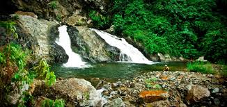 We did not find results for: Wonderful Indonesia The Beautiful Hidden Of Waterfall In Sumatra Indonesia