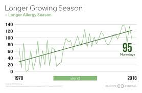 Pollen Allergies Increasing And Worsening With Climate Change