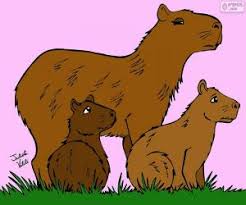 Vive en la zona terrestre de los bosques y sabanas tropicales del centro y sur de sudamérica hasta casi los 2.000 m s.n.m.está relacionado con los agutíes, las chinchillas, los coipos y los cobayos. Puzzles De Carpincho De Julieta Vitali Rompecabezas Para Imprimir