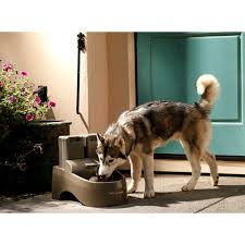 Maybe you would like to learn more about one of these? Dog Fountain Wayfair