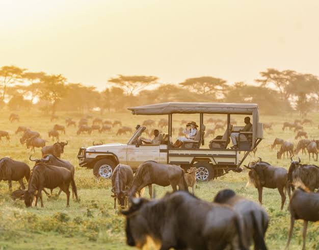 Best Time to Visit the Maasai Mara