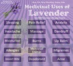 Medicinal Uses Of Lavender Health Deodorant Acne Headache Sleeping Burns Herb Lavender M Lavender Benefits Essential Oils Herbs Health And Beauty Tips