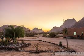 Image result for Oxygonum delagoense