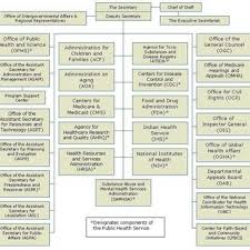 Organizational Structure Department Of Health And Human