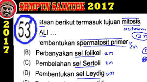 Tahap oogenesis pada hewan dan manusia. Pembahasan Soal Sbmptn 2017 Saintek Biologi Pembahasan No 53 Pembelahan Meiosis Youtube