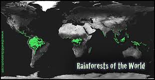 What animals and plants live in the rainforests? Tropical Rainforest World Biomes The Wild Classroom