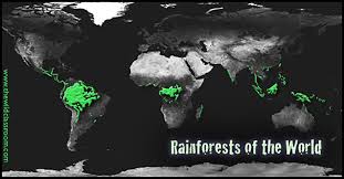 The tropical rainforest is found on and close to the equator. Tropical Rainforest World Biomes The Wild Classroom