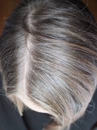 Lesen sie hier, wie sie den prozess bremsen und ihren haaren etwas farbe zurückgeben können. Haare Neue Produkte Und Graue Haare Update Irit Eser