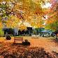 Fall Fest