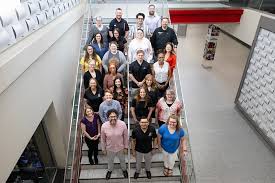 Image result for Ochna hackarsii