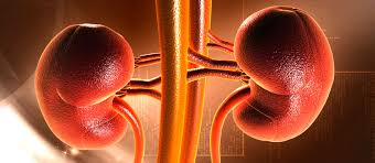Trasplante renal de donante fallecido