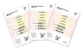 Results synonyms, results pronunciation, results translation, english dictionary definition of results. A1 Movers Results Cambridge English