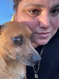 How to get a stray dog in Mission, Texas, spayed and rescued?