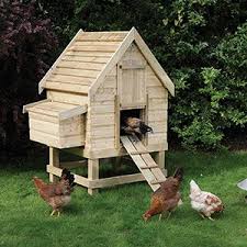 Backyard Chicken Coop Really Want One Of These One Day Chickens Backyard Small Chicken Coops Portable Chicken Coop