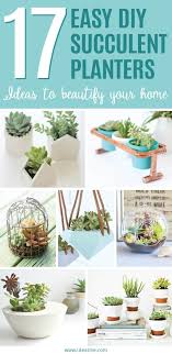 A gold trim will make these. Easy Diy Succulent Planter Ideas Ideal Me