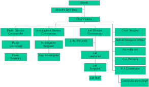 Organizational Chart Charlotte County Sheriffs Office