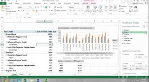 Pivottable Tutorial Excel 2013 For Beginners Part 2 Report