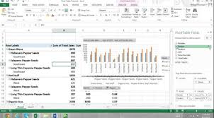 pivottable tutorial excel 2013 for beginners part 2 report