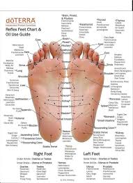 Reflexology And Essential Oil Used On Different Parts Of Each Foot Reflexology Essential Oils Essential Oils Guide Essential Oils Health