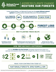 Maybe you would like to learn more about one of these? National Forest Foundation Climate Change Forest Infographic Carbon Sequestration Infographic Climate Change