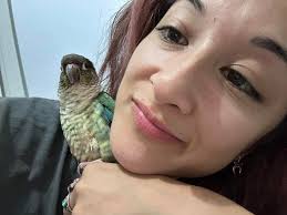 Pet Shop Boys The Pop Kids /In The Night