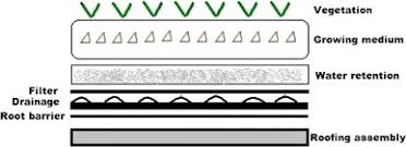 While a green roof has an almost limitless lifespan, there are several factors that will determine how much upkeep is needed when it comes to green roofs, so do your research before committing. How Green Are The Green Roofs Lifecycle Analysis Of Green Roof Materials Sciencedirect