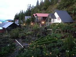 A(z) kiram's village helyre vonatkozó : Other Cabins Picture Of Kiram S Village Kundasang Tripadvisor