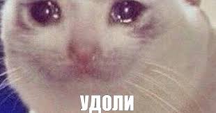 Игровая медиа секта, частный остров на русском в бескрайнем океане реддита. Facebook