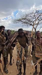 Image result for Bombax rhodognaphalon