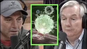 The standup comedian, who attracted controversy for suggesting the young and healthy should not get vaccinated, said he. How Serious Is The Coronavirus Infectious Disease Expert Michael Osterholm Explains Joe Rogan Youtube