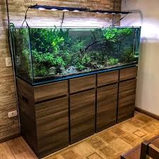 24129529 1891548710873907 4996080912766118768 N Jpg 960 960 Aquarium Design Aquarium Fish Tank Aquascape Aquarium