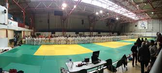 Criterium Departemental Benjamin E S N 1 Avenir Judo 31