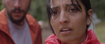 In the Earth movie review & film summary (2021)