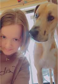 Justice Pete The Great Dane