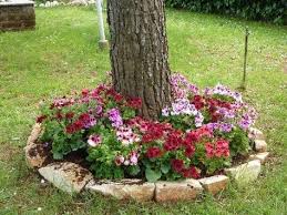 Creare Una Bella Aiuola Sotto L Albero 20 Esempi Bellissimi Video Aiuola Idee Giardino Roccioso Idee Decorazioni Giardino