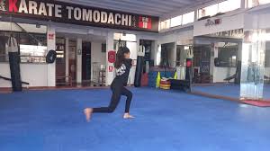 AKEMI TAPIA-DOJO TOMODACHI