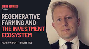 #26: Bright Tide with Harry Wright