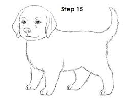 We are sure that due to our experiences you will 100% learn how to draw. Easy Puppy Drawing At Paintingvalley Com Explore Collection Of Easy Puppy Drawing