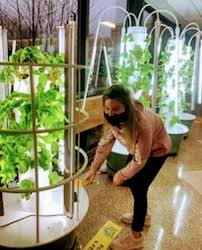 Exclusive items · exclusive products · sales everyday Scio Central School Awarded Grow With Us Grant