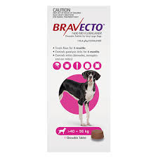 Fleas and ticks can be tricky to control but with innovative products like bravecto you can be sure that your dogs stay protected. Buy Bravecto Chew Extra Large Dogs 40 5 The Vet Shed