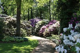 Verzeichnis botanischer gärten in deutschland. Rhododendron Park Bremen Wikidata