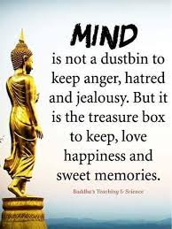Your Mind Holds Love Happiness And Sweet Memories It Is Not A Rubbish Bin Buddha Quotes Inspirational Buddha Quote Buddha Quotes