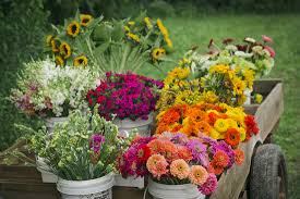 Maybe you would like to learn more about one of these? Bulk Flowers That Girl S Flowers That Girl S Flowers