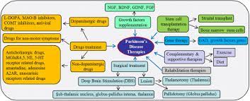 Related online courses on physioplus. Current Understanding Of The Molecular Mechanisms In Parkinson S Disease Targets For Potential Treatments Translational Neurodegeneration Full Text
