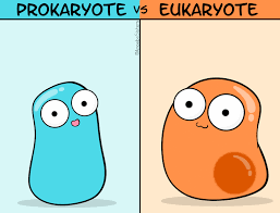 Maybe you would like to learn more about one of these? Amoeba Sisters Gifs Science With The Amoeba Sisters