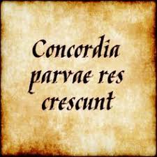 Cras Amet Qui Numquam Amavit Quique Amavit Cras Amet Concordia Parvae Res Crescunt Small Things Grow In Harmony Latin Phrases Cool Words
