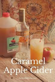 Smirnoff caramel vodka drink recipes 10. 15 Caramel Vodka Ideas Caramel Vodka Yummy Drinks Caramel Apples