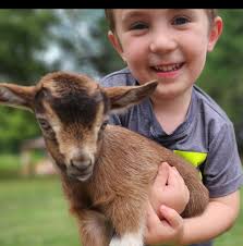 The Red Barn Nation Farm