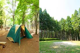 海と山に囲まれた癒しのオアシス 千葉県のおすすめ人気キャンプ場24選 Yama Hack