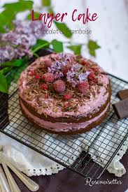 Layer Cake Au Chocolat Et Mousse De Framboises Vegan Sans Gluten Cake Chocolat Idee Recette Gateau Chocolat Vegan